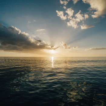 BEYAZ: Kısa tanıtım